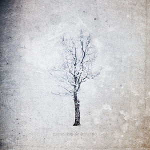 国产伦子伦一级A片免费看小说
